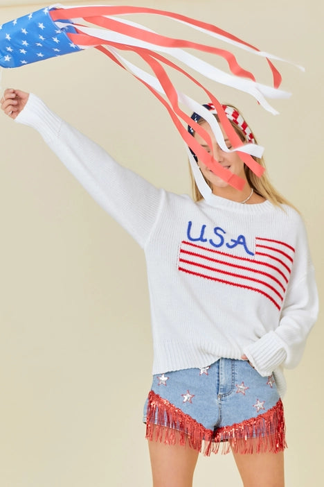 USA Stripe Flag Sweater